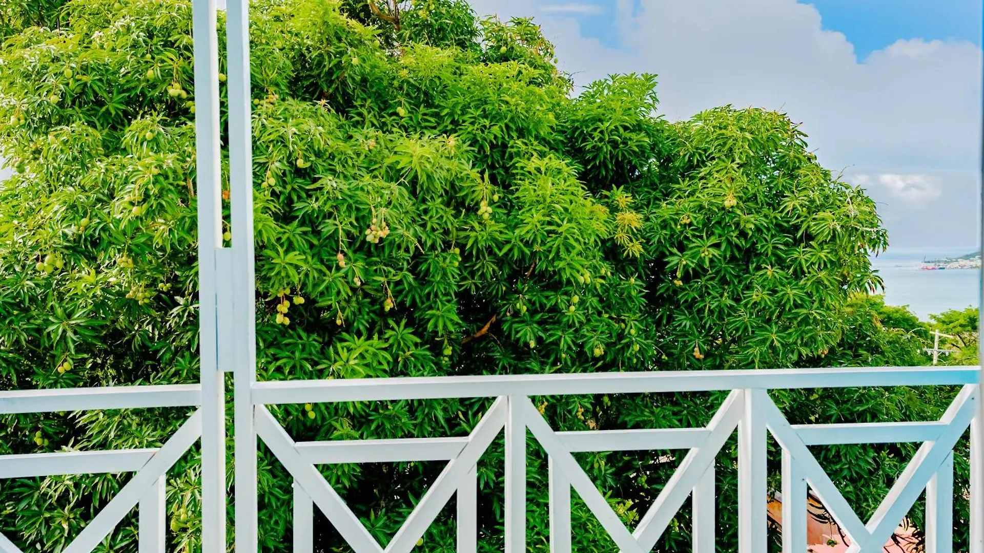 Shamar Lodge Franshua Aparthotel